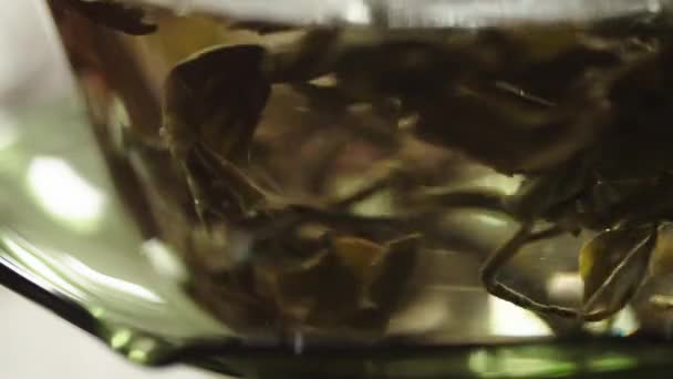 Китайське Зелене Чайне Листя Наповнене Гарячою Водою Всередині Традиційної Скляної — стокове відео