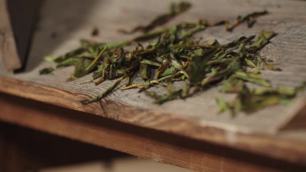 Китайські Зелені Чайні Листочки Падають Лотка Традиційної Машини Кидання Листя — стокове відео