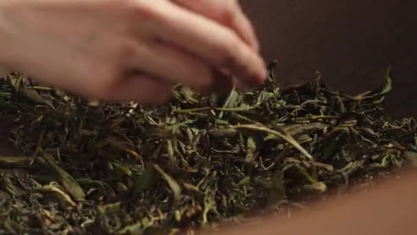 Close Asian Woman Hands Stirring Green Tea Leaves Traditional Firing — Vídeos de Stock