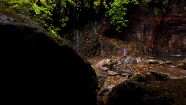 Waterfalls Fountains Risco Levada Walk Madeira Island Portugal Pan Right — Vídeo de Stock