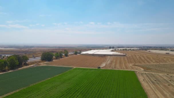Diving Aerial Shot Reseeding Straw Field Southern District Israel Sdot — Stock Video