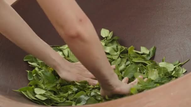 Κοντινό Πλάνο Στα Χέρια Των Γυναικών Ανακατεύοντας Φρέσκα Φύλλα Πράσινου — Αρχείο Βίντεο