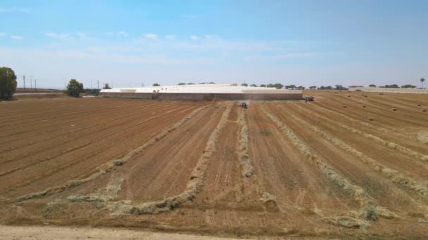 Reseeding Straw Field Drone Southern District Israel Sdot Negev — Vídeo de stock