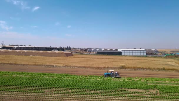 Tractor Cabbage Field Sdot Negev Israel — Stockvideo