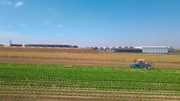 Kool Veld Van Zijkant Bij Sdot Negev Israël — Stockvideo