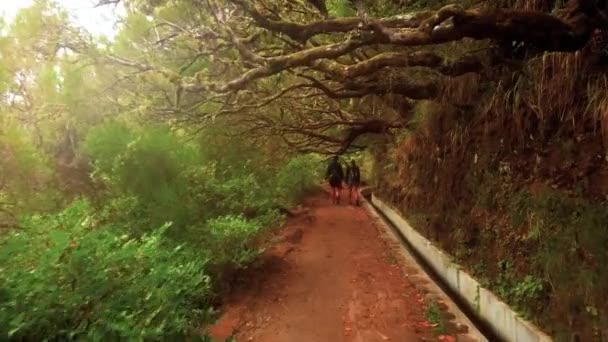 Пешие Прогулки Узкой Дорожке Левады Risco Hiking Route Португалии Handheld — стоковое видео