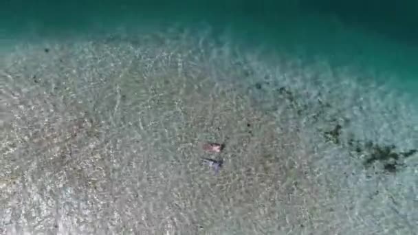 Aerial Top View Turn Couple Float Blue Water Caribbean Sea — Stockvideo