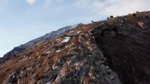 ユタ州ソルトレークシティ付近の雪に覆われた山の頂上を飛んでいます — ストック動画