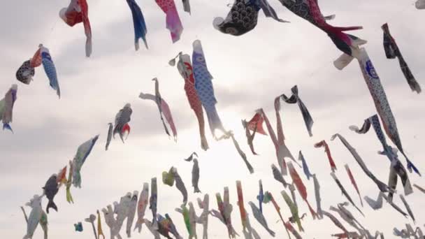 Carp Kites Την Ημέρα Των Παιδιών Στην Ιαπωνία — Αρχείο Βίντεο