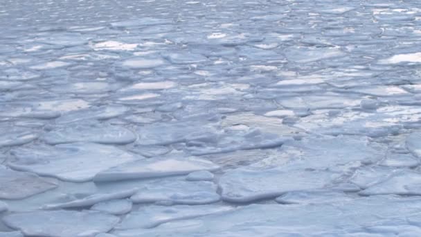 Северная Норвея Большие Куски Тающего Льда Плавающие Поверхности Моря Длительное — стоковое видео
