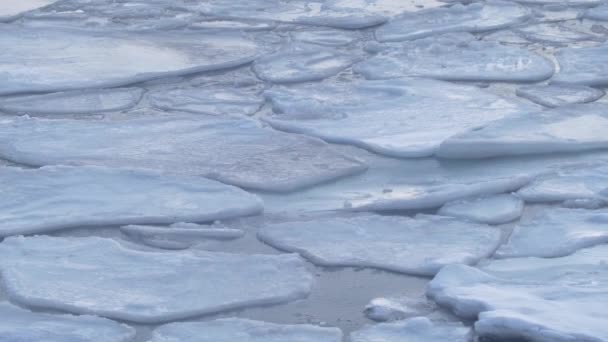 Noordnoordpoolwinter Grote Stukken Smeltend Ijs Drijvend Een Zeeoppervlak Lange Duur — Stockvideo