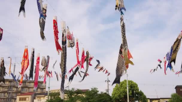 Nationalfeiertag Japan Kindertag Karpfenfischschlangen Ausgestellt — Stockvideo