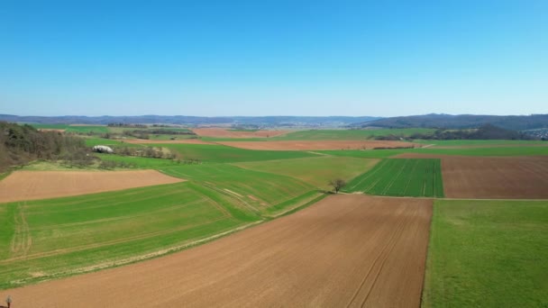 Vista Aérea Sobre Campos Primavera Coloridos Crecientes Alemania Disparo Drones — Vídeos de Stock