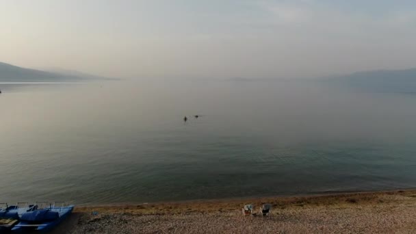 Veduta Aerea Delle Persone Che Nuotano Nel Lago Ohrid Bellissimo — Video Stock