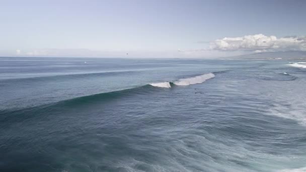 Aerial View Bodyboarder Catching Wave Magic Island Hawaii — Wideo stockowe