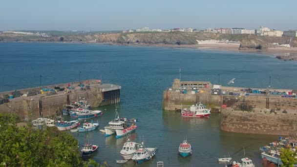 Vista Colorida Acima Barcos Atracados Porto Pesca Durante Dia Newquay — Vídeo de Stock