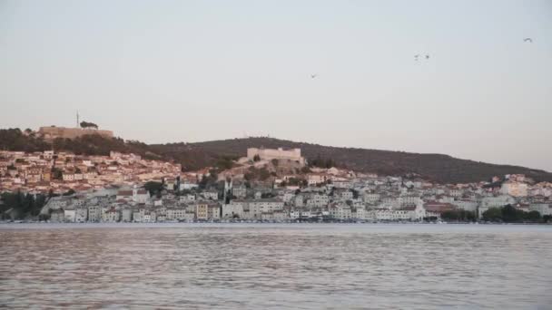 Gaviotas Volando Sobre Ciudad Sibenik Bahía Del Mar Adriático Crepúsculo — Vídeos de Stock