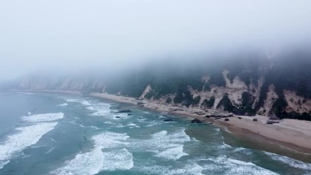 Aerial Drone Shot Misty Ocean Shoreline Sedgefield Popular Travel Destination — Stock Video