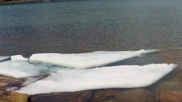 Ευγενικός Κυματισμός Ρέει Παρελθόν Κομμάτια Του Παρατεταμένου Πάγου Λίμνη Μια — Αρχείο Βίντεο