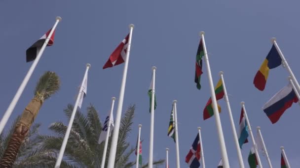 Εθνικές Σημαίες Συμμετεχόντων Στην Έκθεση Dubai 2020 Panorama Low Angle — Αρχείο Βίντεο