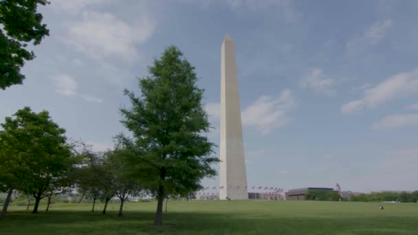 Широкий Знімок Пам Ятника Вашингтона Спринті Якому Зображені Дерева Прапори — стокове відео