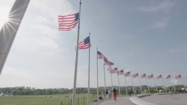 Une Série Drapeaux Américains Entourant Washington Monument Soufflent Dans Vent — Video