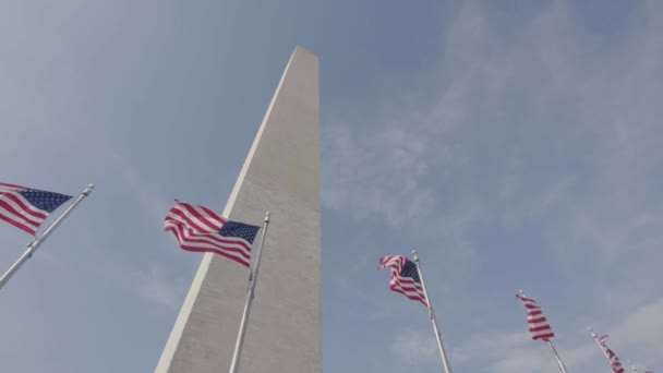 Une Série Drapeaux Américains Souffle Dans Vent Devant Washington Monument — Video