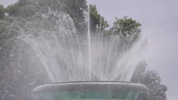 Rallentatore Della Fontana Che Lavora Con Gli Alberi Sul Retro — Video Stock