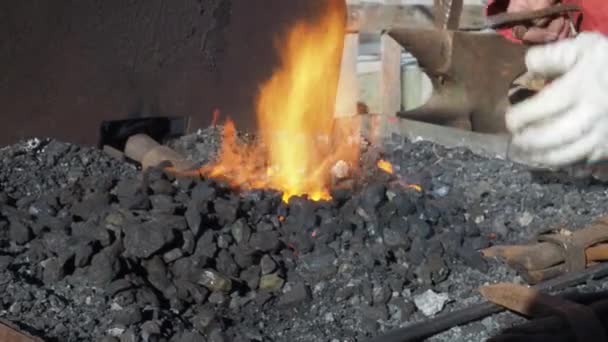 Fecho Ferreiro Aquecendo Gancho Metal Usando Luvas Proteção Dia — Vídeo de Stock