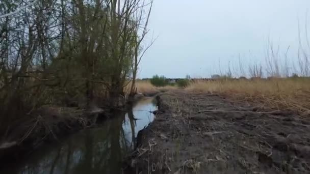 Περιορίστε Τον Ποταμό Muddy Συννεφιασμένη Ημέρα Χαμηλή Εναέρια Έννοια Της — Αρχείο Βίντεο