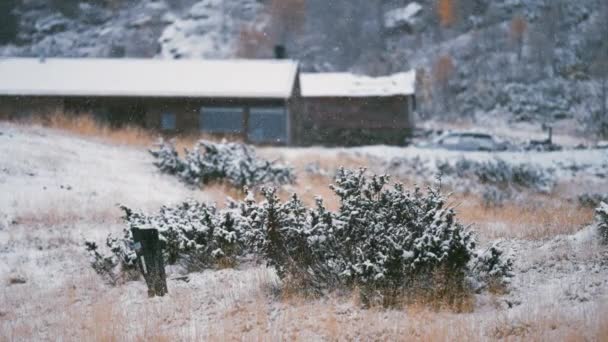 光の最初の雪は 枯れた草 常緑の茂み および木製のキャビンの屋根に落ちます スローモーション — ストック動画