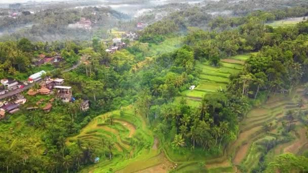 Bonito Ubud Cinematográfico Bali Drone Imagens Com Terraço Arroz Exótico — Vídeo de Stock