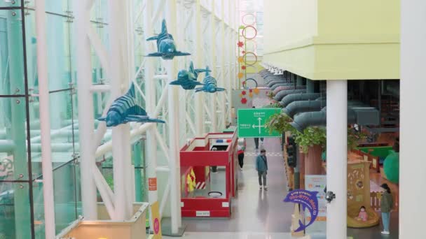 海豚雕塑悬挂在吊顶上像游泳一样在体育馆里的大堂里与大自然的游乐场一起游动 — 图库视频影像