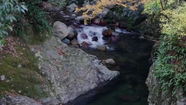 Rivière Cascade Pied Des Chutes Minoo Parc National Osaka Japon — Video