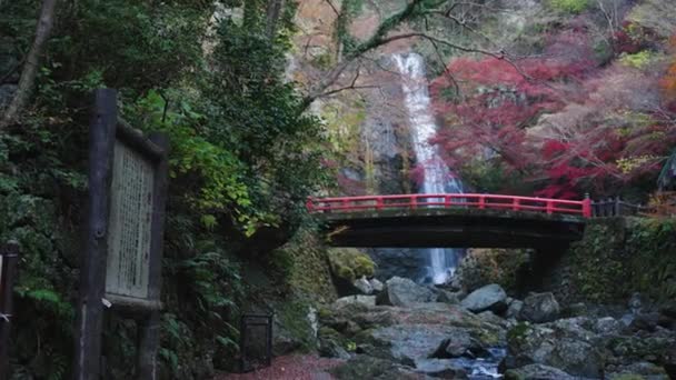 Водопад Мину Весенний Сезон Парке Мину Осака Япония — стоковое видео