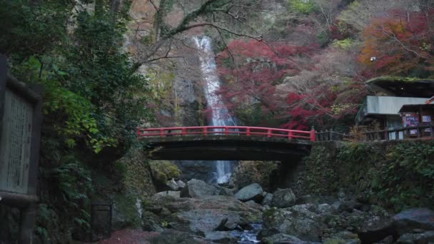 Minoh Falls Röda Bron Hösten Osaka Japan — Stockvideo