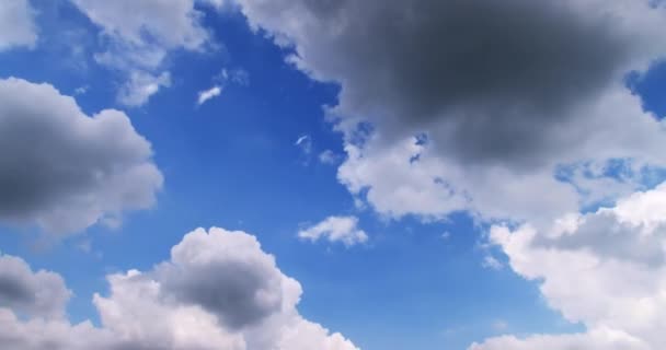 Building Motions Clouds Puffy Fluffy White Clouds Sky Time Lapse — Video Stock