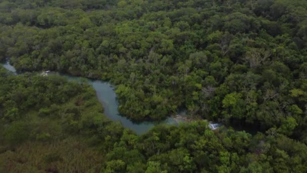 Vue Aérienne Forêt Bontanique Brésil — Video