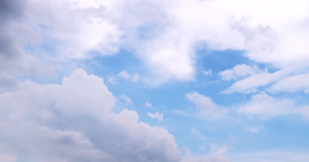 積雲は澄んだ青い空に向かって動きます 白いふわふわの雲が空気中を急速に飛んでいます 大気現象の気象観測 — ストック動画