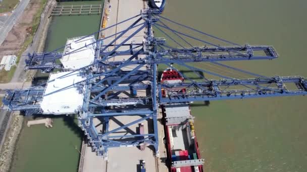 Oiseaux Vue Sur Quai Grues Londres Thamesport Conteneur Port Rivière — Video