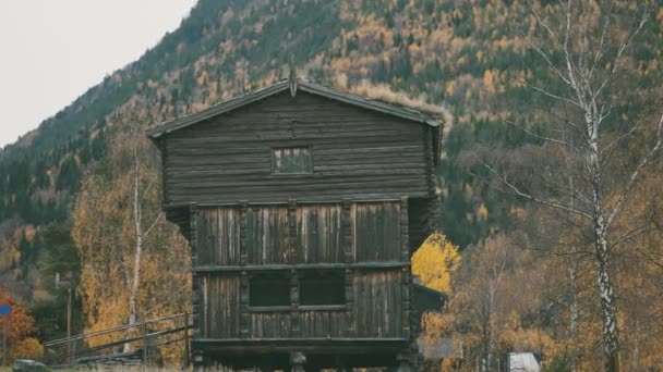 Sebuah Rumah Kayu Tua Skansen Norwegia Hutan Musim Gugur Meliputi — Stok Video