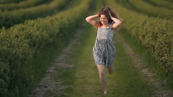 Красива Дівчина Вільній Сукні Біжить Босоніж Полю — стокове відео