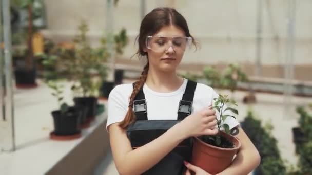 Mujer Joven Uniforme Trabajo Invernadero Con Una Planta Maceta — Vídeos de Stock