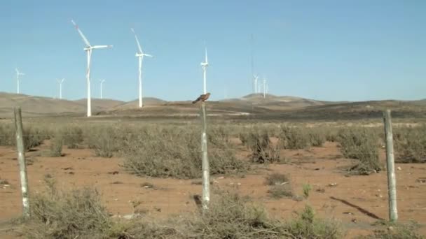 Vindkraftverk Solig Dag Atacamaöknen Chile Bred Skottlossning — Stockvideo