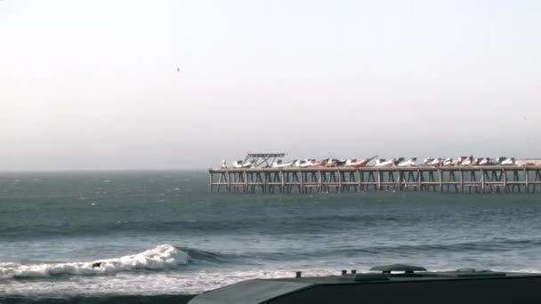 海の上にボートがある木製の桟橋 波がビーチで転がります — ストック動画