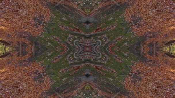 Příroda Kaleidoskop Looping 60Fps Wissahickon Creek Krajina — Stock video