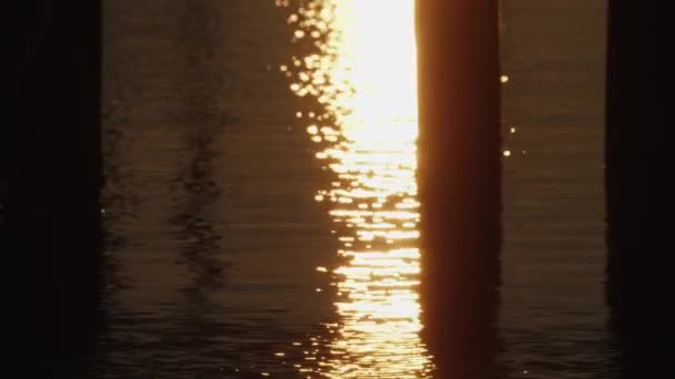 夕暮れ時の水の波紋 — ストック動画