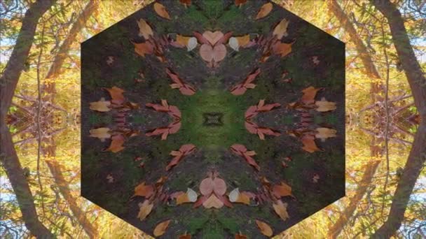 Nature Kaleidoscope Looping 60Fps Wissahickon Creek Táj — Stock videók