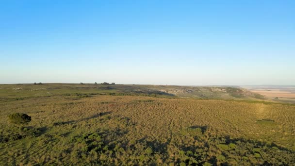 Śledzenie Koni Pasących Się Odległość Hillside Buenos Aires — Wideo stockowe