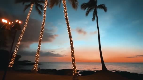 Pôr Sol Havaiano Colorido Com Luzes Decorativas Férias Nas Palmeiras — Vídeo de Stock